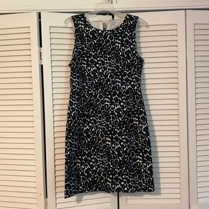 J Crew Dress